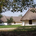 Hill Shepherd’s Cellars, vine hill of Oszkó