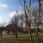 Oszkó, Hegypásztor Pincék