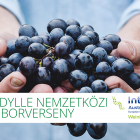 Weinidylle Nemzetközi Borverseny - WEINIDYLLE INTERNATIONALER WEINWETTBEWERB